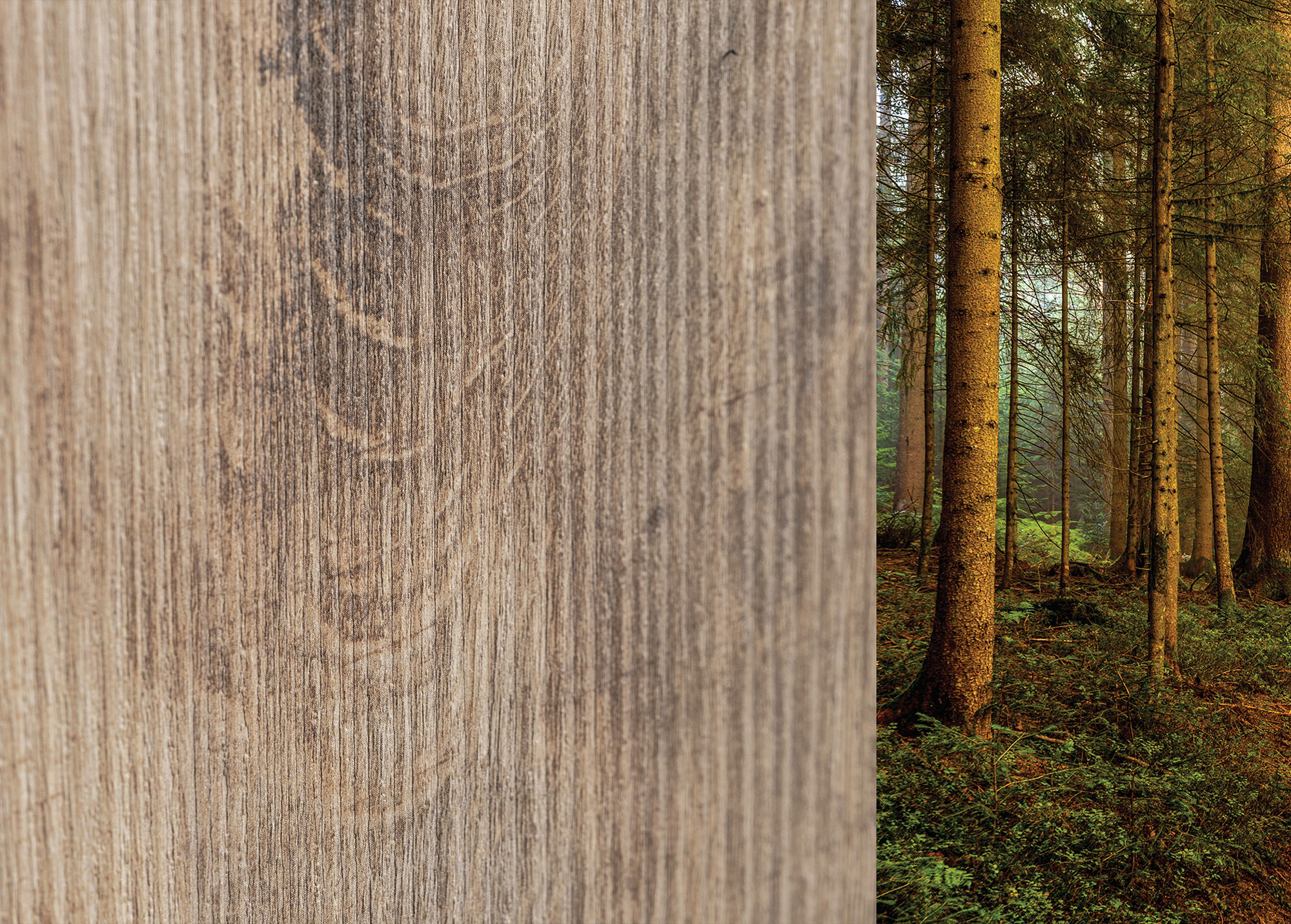 img-sito_diplos_slider-1_10