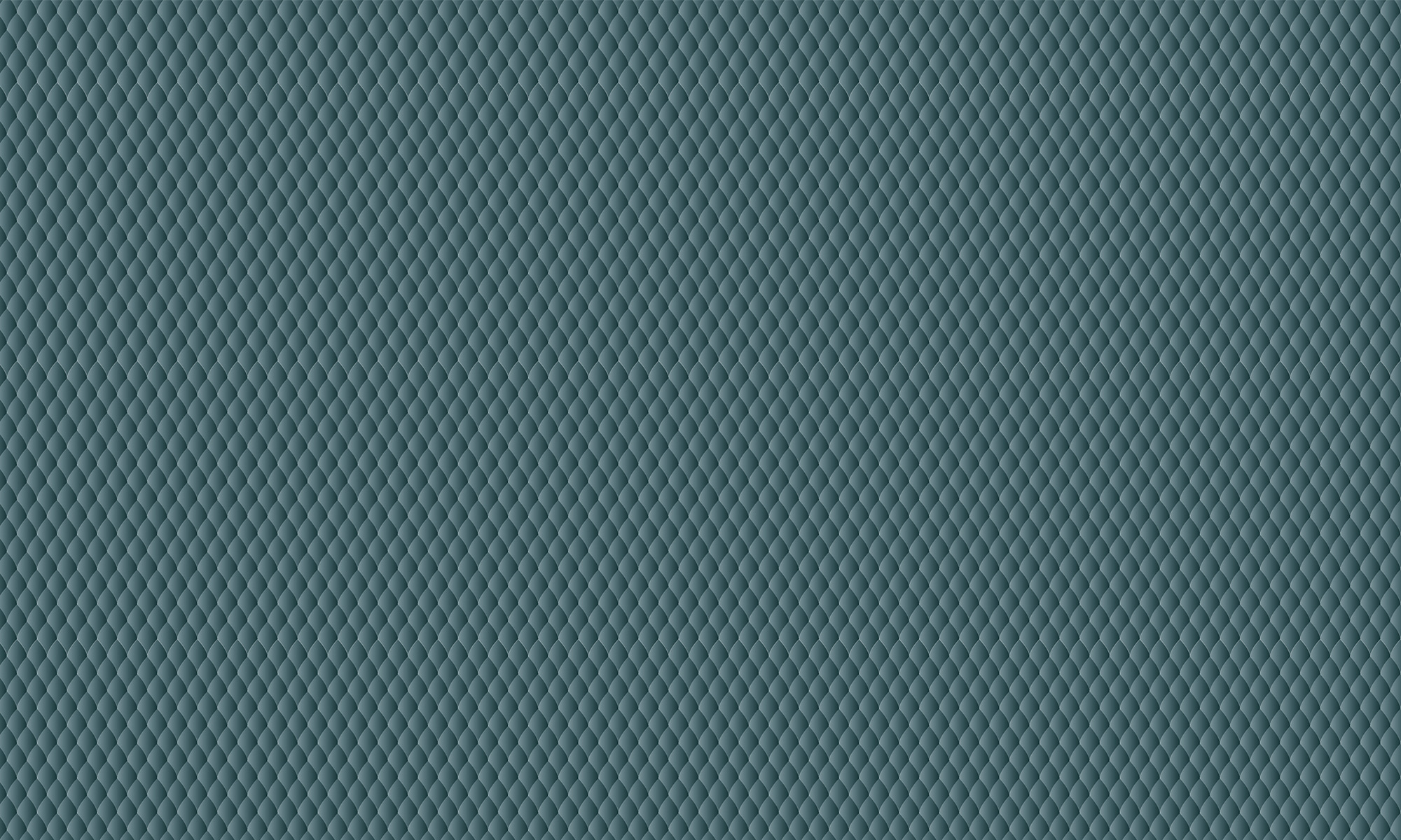 6330-SHARK-04-2