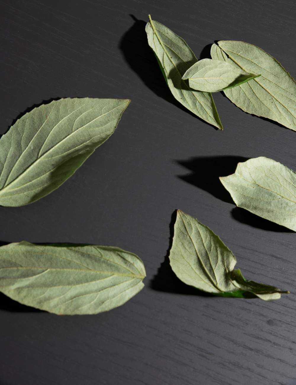 ABET NA_VW Collection_Velwood 25 _1000x1300